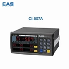 Indicator CAS CI-507A 2